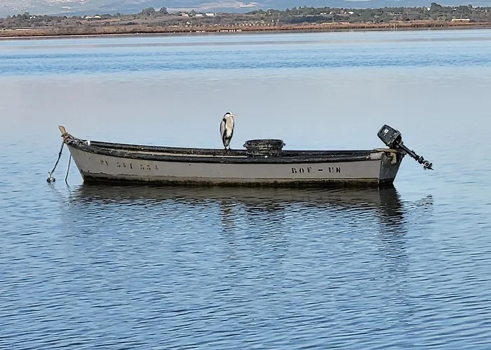 Camping Mobil Spacieux Mar Estang 4*